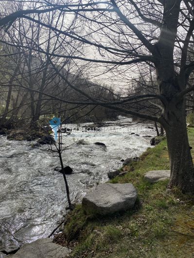 Image No.16-8 Bed House for sale