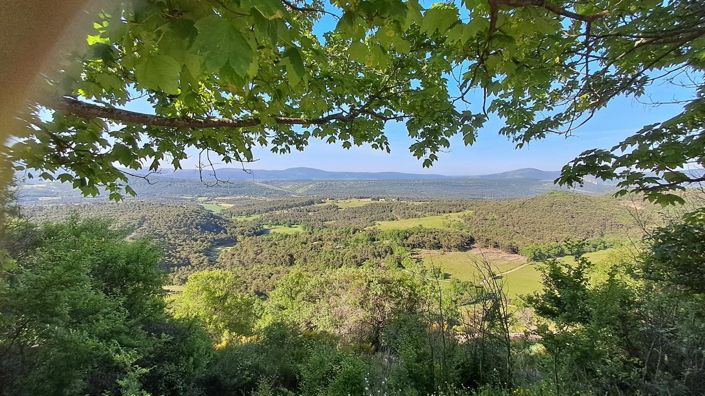 Image No.43-5 Bed House for sale