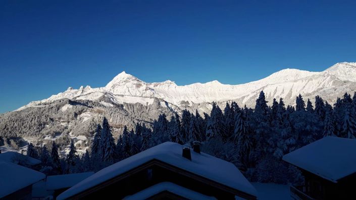 Image No.42-6 Bed House for sale