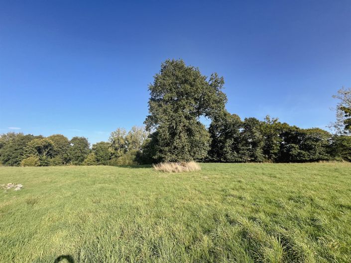 Image No.13-Maison de 2 chambres à vendre à Fougères