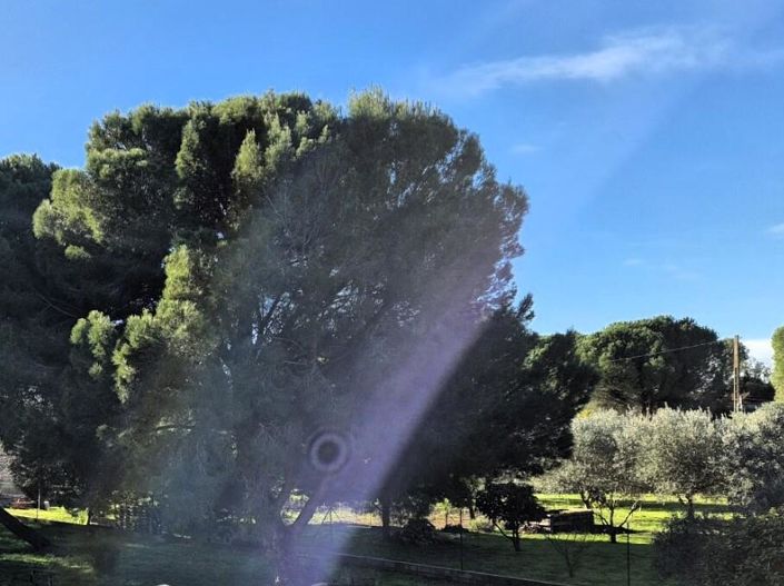 Image No.43-Maison de 6 chambres à vendre à Pézenas