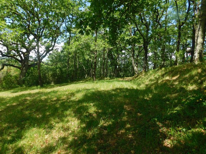 Image No.19-Maison de 5 chambres à vendre à Auch