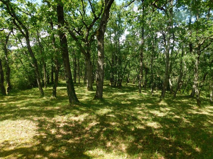 Image No.21-Maison de 5 chambres à vendre à Auch