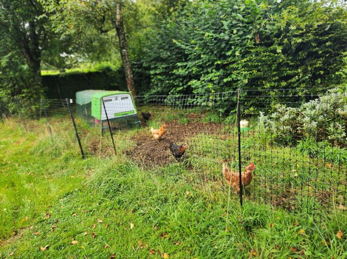 Image No.16-3 Bed House for sale