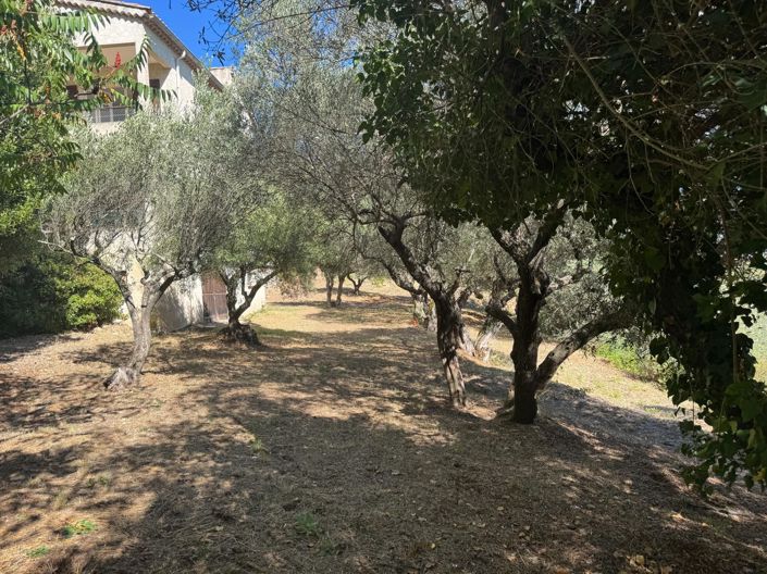 Image No.21-4 Bed House for sale