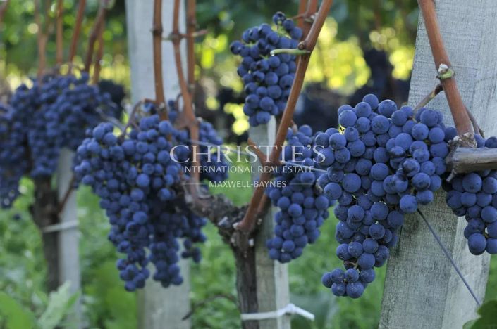 Image No.24-4 Bed House for sale