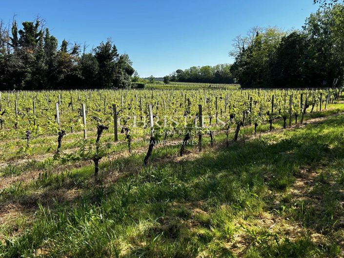 Image No.25-4 Bed House for sale