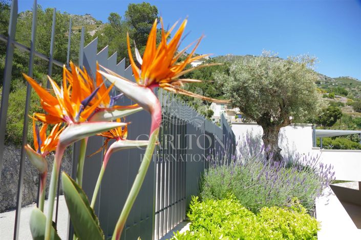Image No.16-4 Bed House for sale
