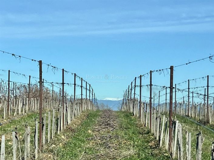 Image No.26-Maison de 8 chambres à vendre à Saint-Alexandre