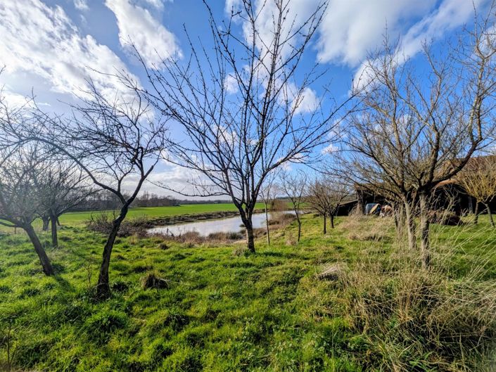 Image No.16-3 Bed House for sale