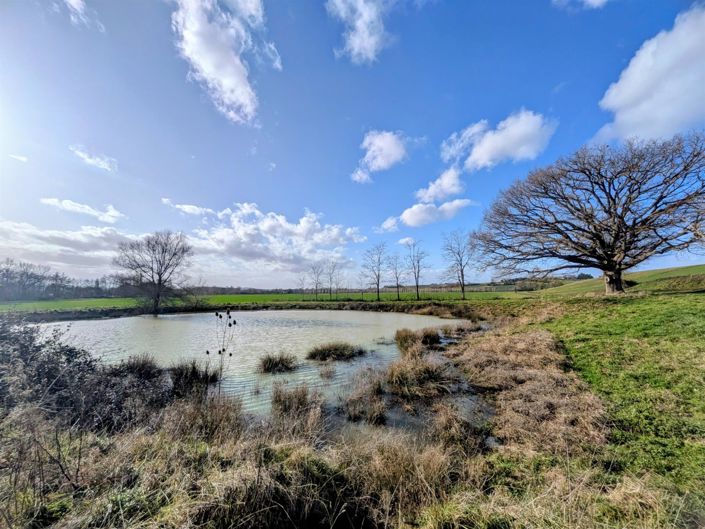 Image No.19-3 Bed House for sale