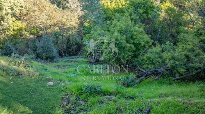 Image No.6-House for sale