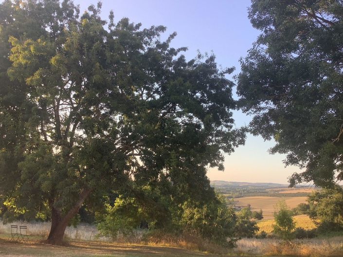 Image No.4-Propriété de 7 chambres à vendre à Lectoure