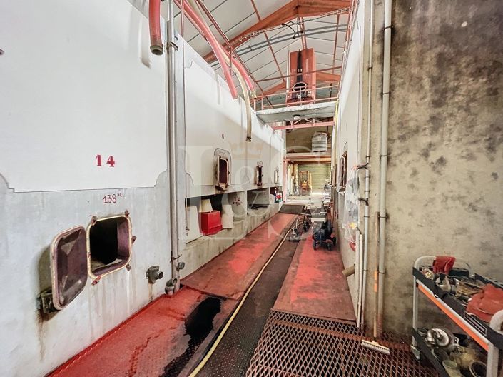 Image No.4-Maison de 5 chambres à vendre à Saint-Laurent-des-Arbres