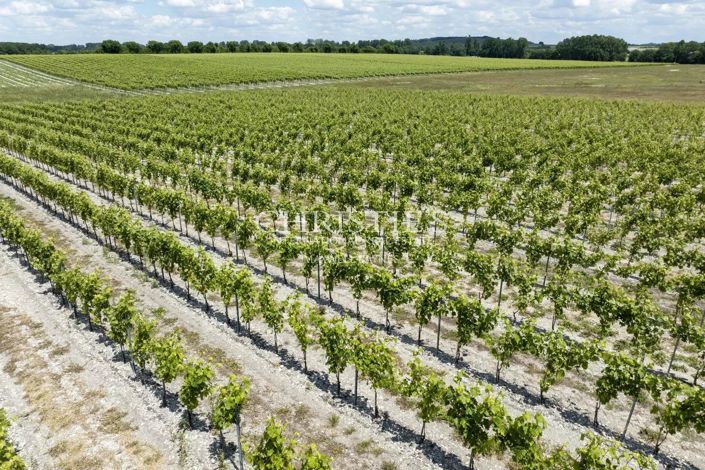 Image No.8-House for sale