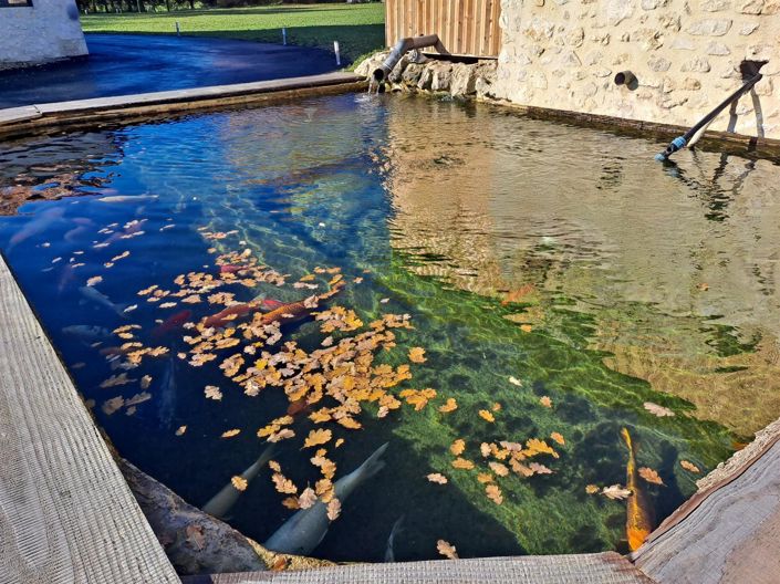 Image No.28-Propriété de 5 chambres à vendre à Condom