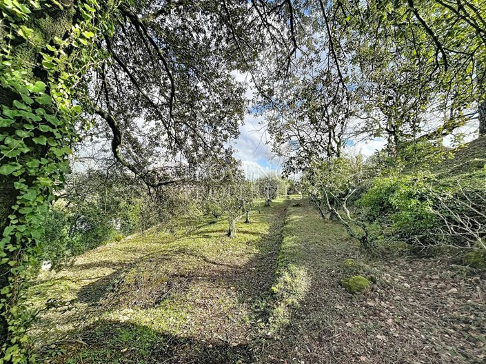 Image No.2-4 Bed House for sale