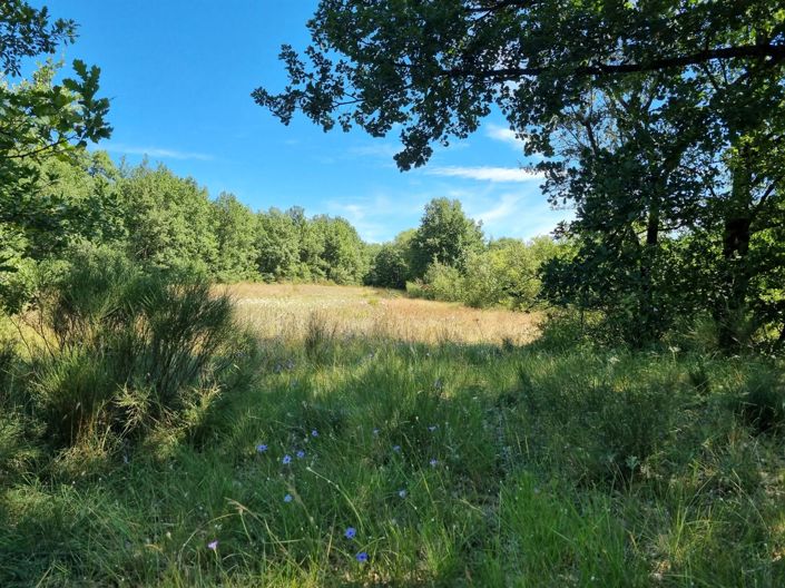 Image No.25-2 Bed House for sale