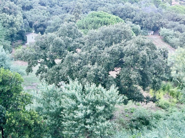 Image No.13-3 Bed House for sale