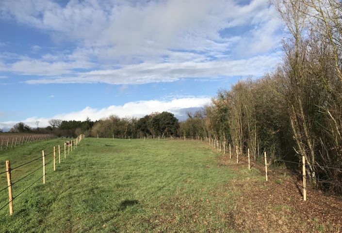 Image No.17-3 Bed House for sale