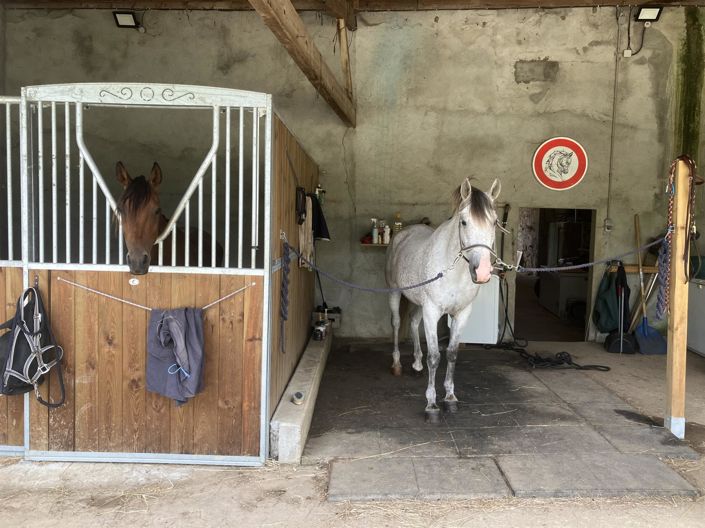 Image No.3-3 Bed House for sale