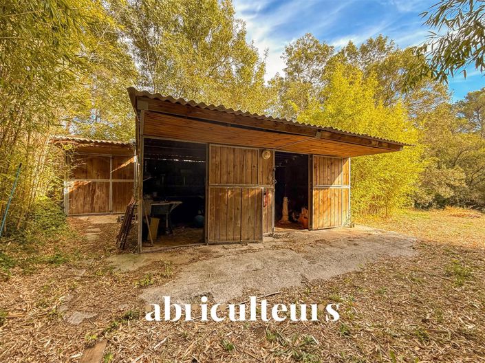 Image No.16-4 Bed House for sale