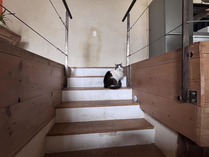 Image No.16-3 Bed House for sale