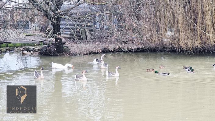 Image No.2-Maison de 3 chambres à vendre à Rieumes