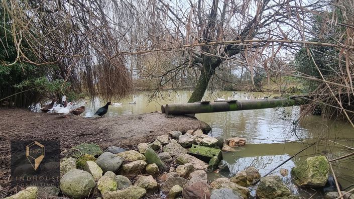 Image No.3-Maison de 3 chambres à vendre à Rieumes