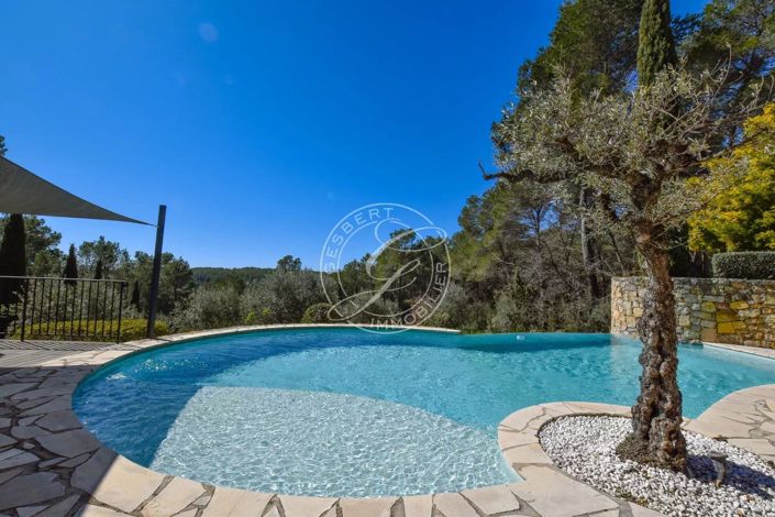 Image No.4-5 Bed House for sale