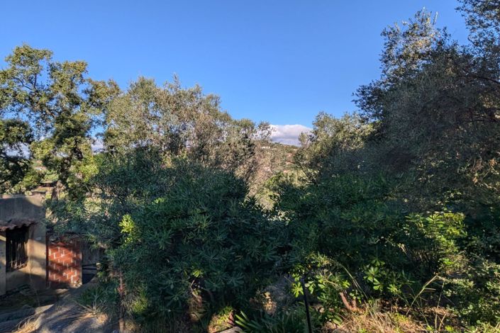 Image No.5-House for sale