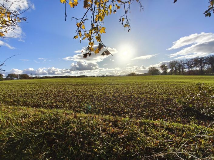 Image No.20-4 Bed House for sale