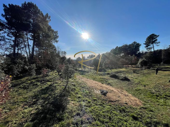 Image No.2-Maison de 3 chambres à vendre à Montréal