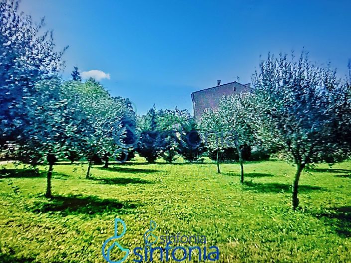 Image No.16-6 Bed House for sale