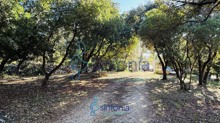 Image No.19-5 Bed House for sale