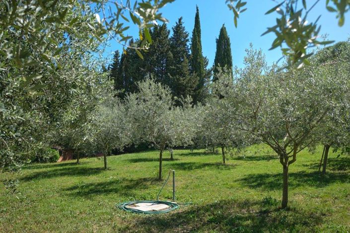 Image No.9-4 Bed House for sale