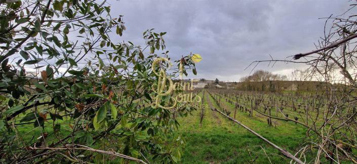 Image No.2-Maison de 5 chambres à vendre à Sazilly