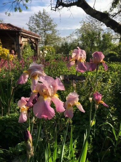 Image No.31-5 Bed House for sale