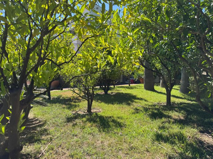 Image No.28-Maison de 3 chambres à vendre à Ramatuelle