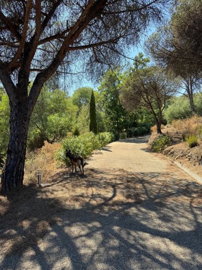 Image No.31-Maison de 3 chambres à vendre à Ramatuelle