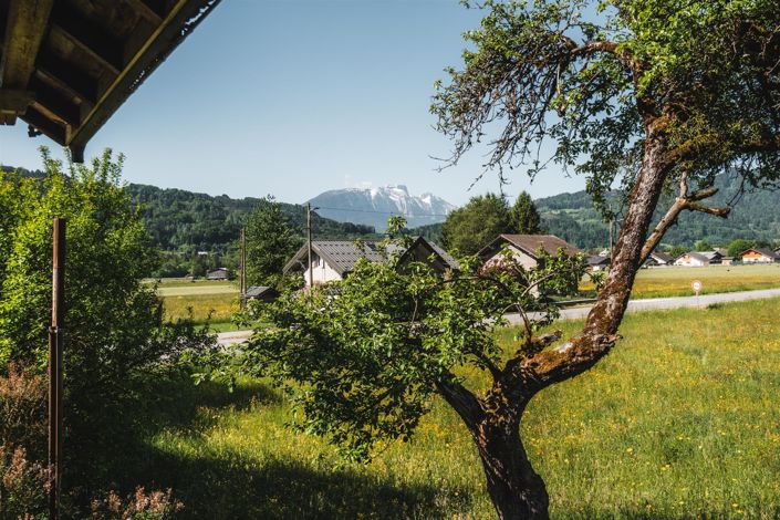 Image No.4-House for sale