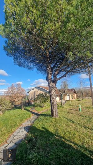 Image No.20-2 Bed House for sale