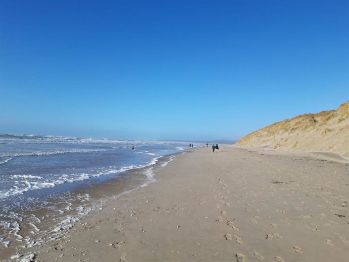 Image No.18-Maison de 2 chambres à vendre à Hucqueliers