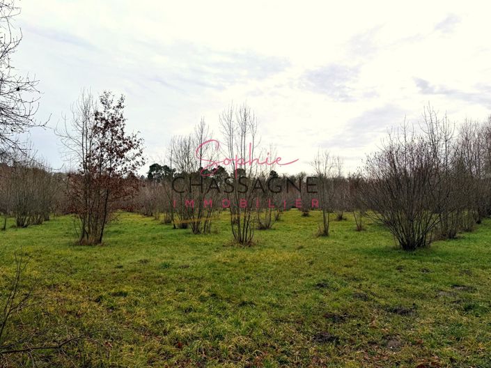 Image No.10-Maison de 2 chambres à vendre à Montguyon