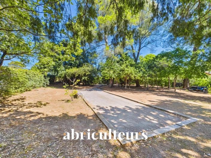 Image No.25-8 Bed House for sale