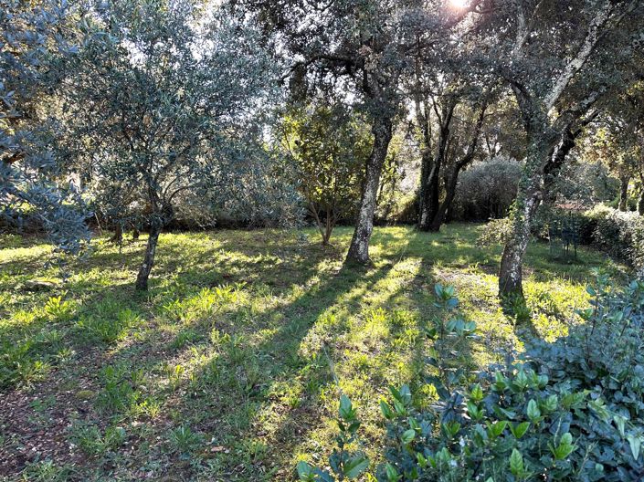 Image No.4-4 Bed House for sale