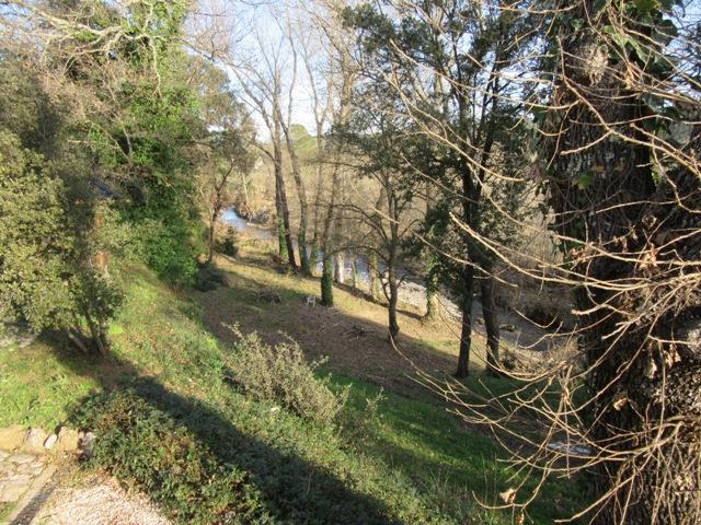 Image No.6-Maison de 3 chambres à vendre à Taradeau