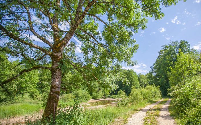 Image No.17-4 Bed Property for sale