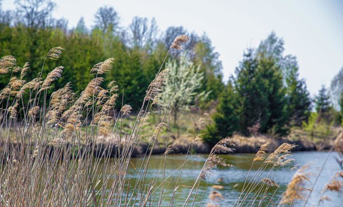 Image No.7-4 Bed Property for sale