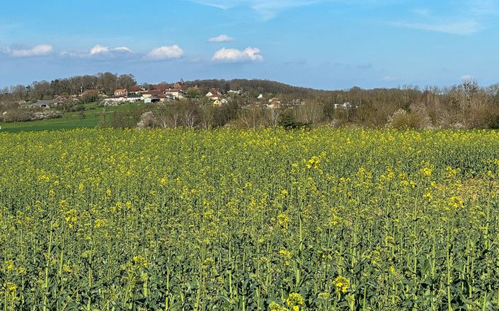 Image No.18-6 Bed House for sale